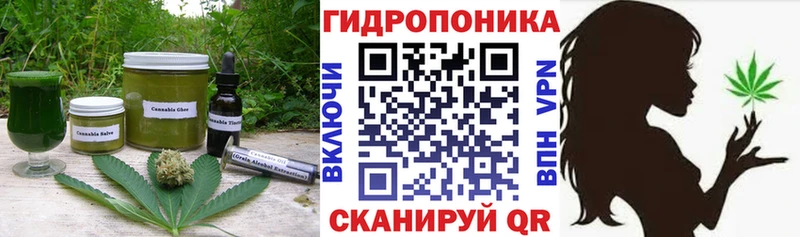 даркнет какой сайт  где купить наркоту  Старая Русса  Печенье с ТГК конопля  блэк спрут сайт 