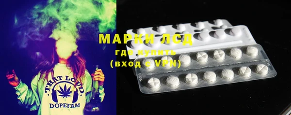 амф Вяземский