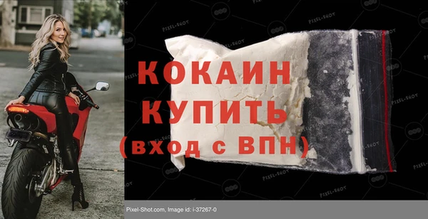 шишки Вязники