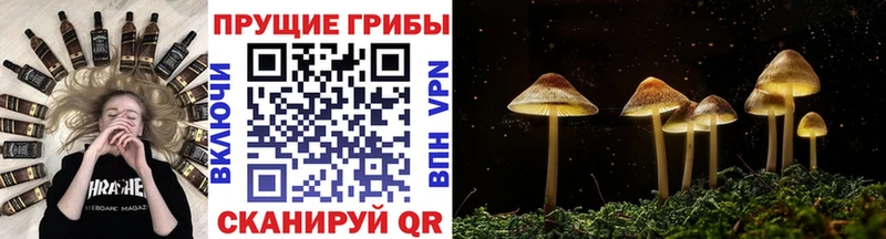 Псилоцибиновые грибы мицелий  Старая Русса 