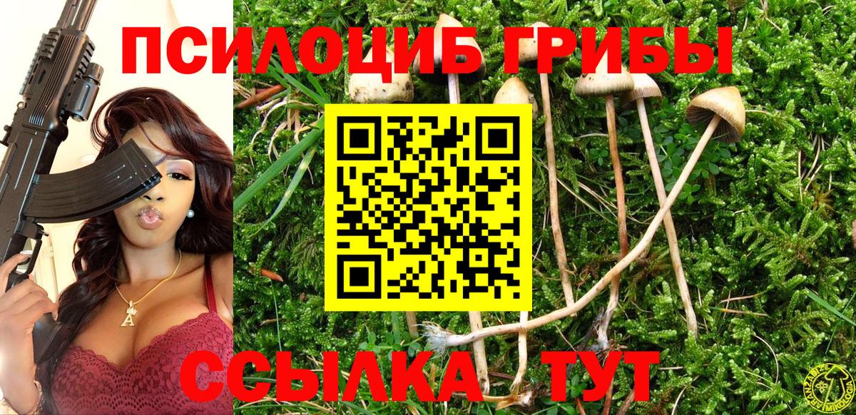 Старая Русса  Псилоцибиновые грибы GOLDEN TEACHER  Вход с VPN 